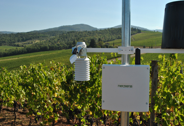 IoT weather and soil sensing for smart irrigation